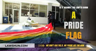 Burning the Pride Flag: Legal or Hate Crime?