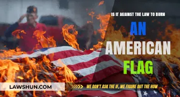 Is Burning the American Flag Legal? Exploring Free Speech Limits