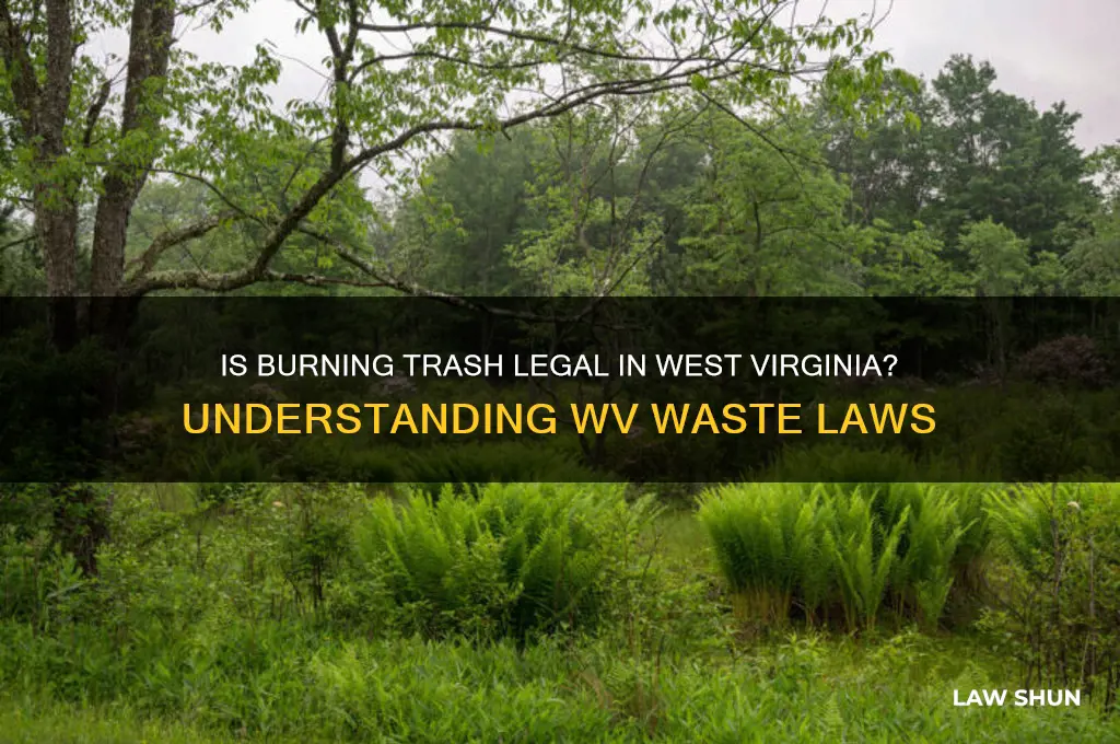 is it against the law to burn trash in wv