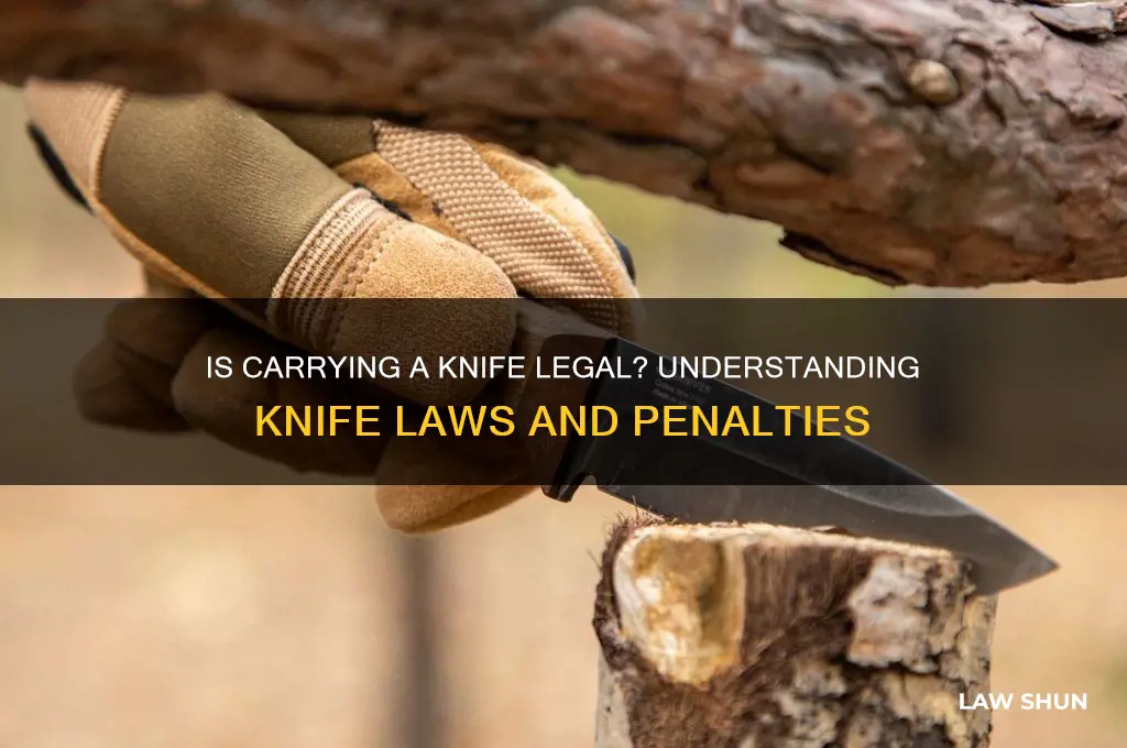 is it against the law to carry a knife