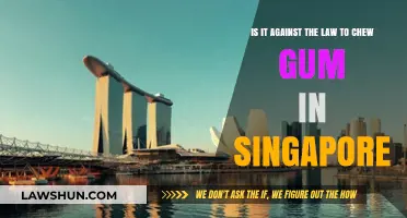 Is Chewing Gum Illegal in Singapore? Unraveling the Myth and Facts