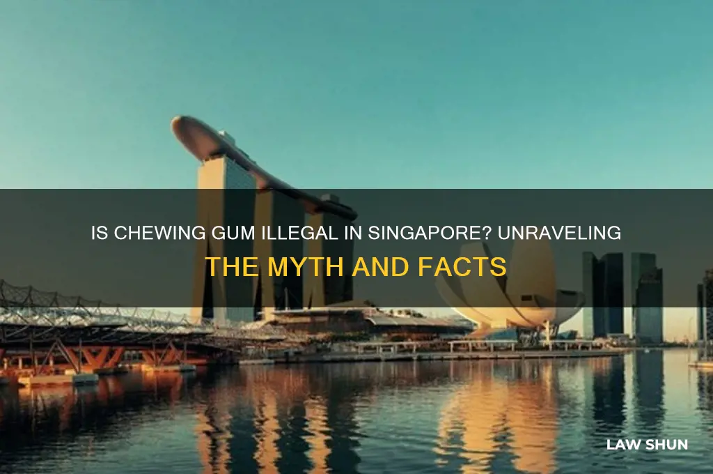 is it against the law to chew gum in singapore