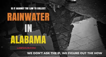 Is Rainwater Harvesting Legal in Alabama? Understanding the Law
