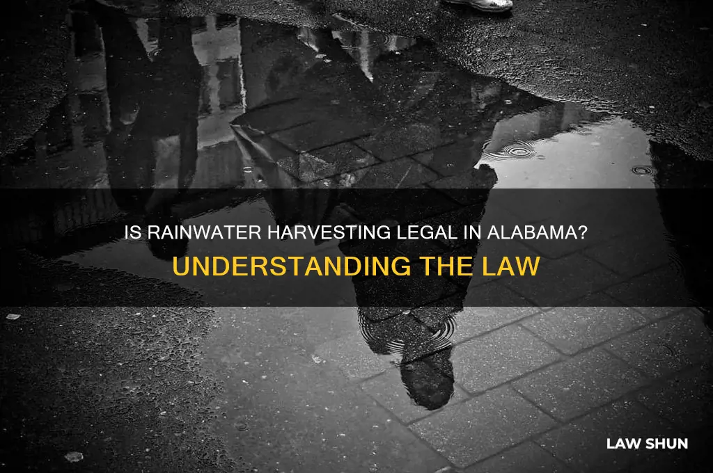 is it against the law to collect rainwater in alabama