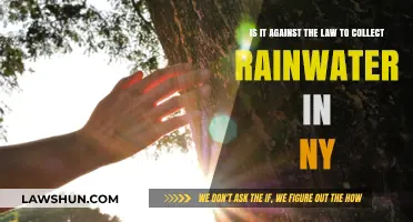 Is Rainwater Harvesting Legal in New York? What You Need to Know