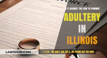Is Adultery Illegal in Illinois? Understanding the Legal Implications