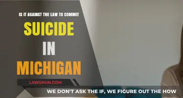 Is Suicide Illegal in Michigan? Understanding the Legal Perspective