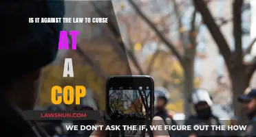Is Cursing at a Police Officer Illegal? Legal Insights Explained