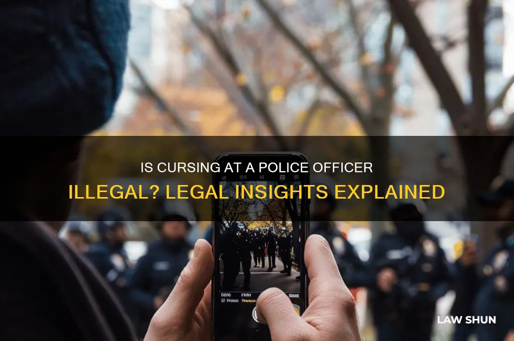 is it against the law to curse at a cop
