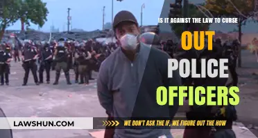 Is Cursing at Police Officers Illegal? Understanding Free Speech Limits