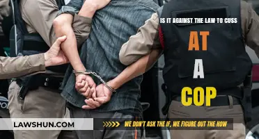 Is Cursing at Police Officers Illegal? Understanding Free Speech Limits