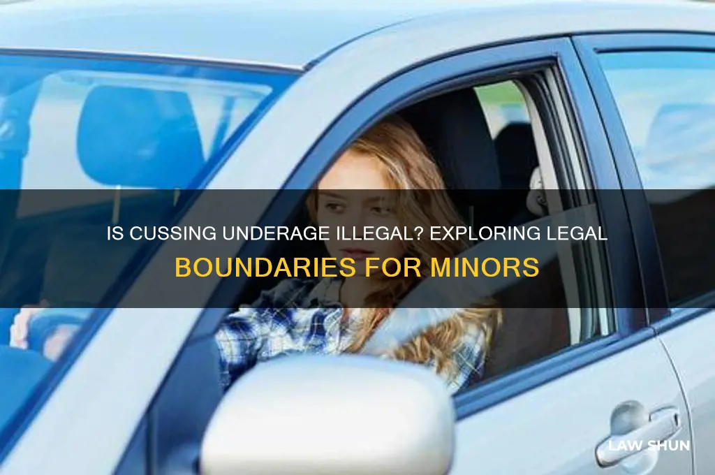is it against the law to cuss when your underage