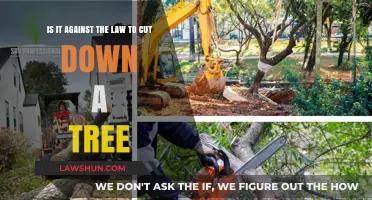 Is Cutting Down Trees Illegal? Understanding Tree Removal Laws