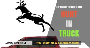 Is Deer Hunting from a Truck Legal? Understanding the Law