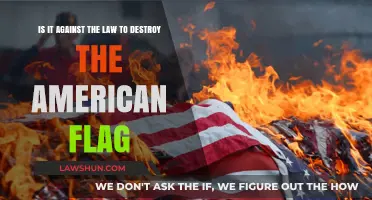 Is Flag Burning Legal? Exploring the American Flag Desecration Debate