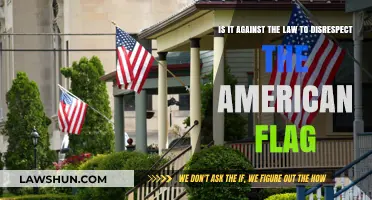 Is Disrespecting the American Flag Illegal? Legal Insights Explained