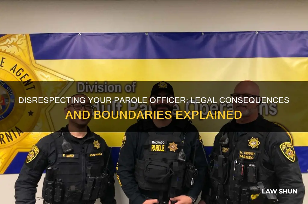 is it against the law to disrespect your parole officer