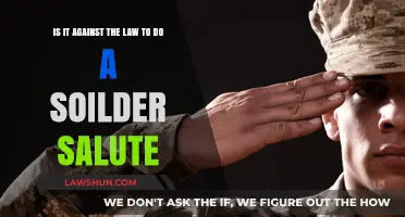 Is the Soldier Salute Illegal? Understanding Legal Boundaries and Respect