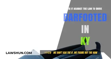 Barefoot Driving in Kentucky: Legal or Law-Breaking?