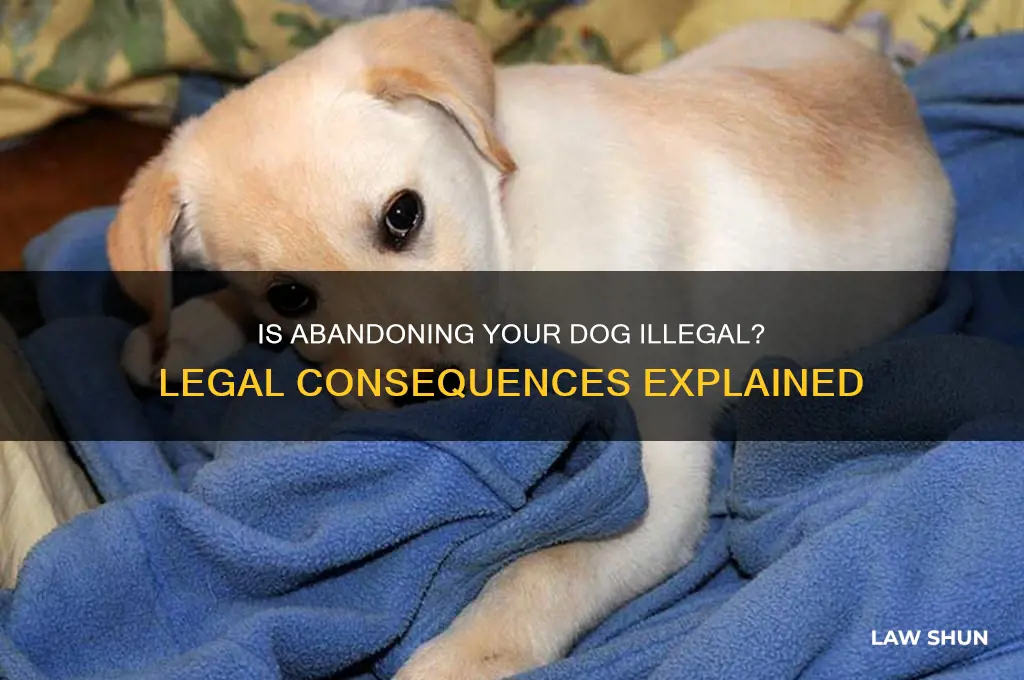 is it against the law to drop a dog off