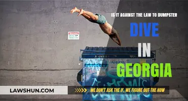 Is Dumpster Diving Legal in Georgia? Understanding the Law