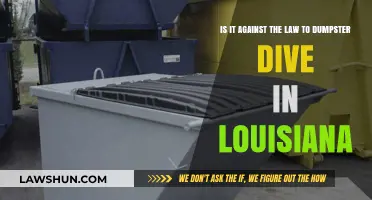 Is Dumpster Diving Legal in Louisiana? Know the Law Before You Dive