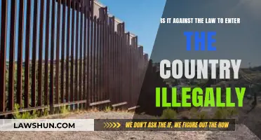 Is Illegal Entry a Crime? Understanding Immigration Laws and Penalties