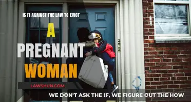 Evicting Pregnant Tenants: Legal Boundaries and Protections Explained