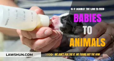 Feeding Babies to Animals: Legal Implications and Ethical Concerns Explored