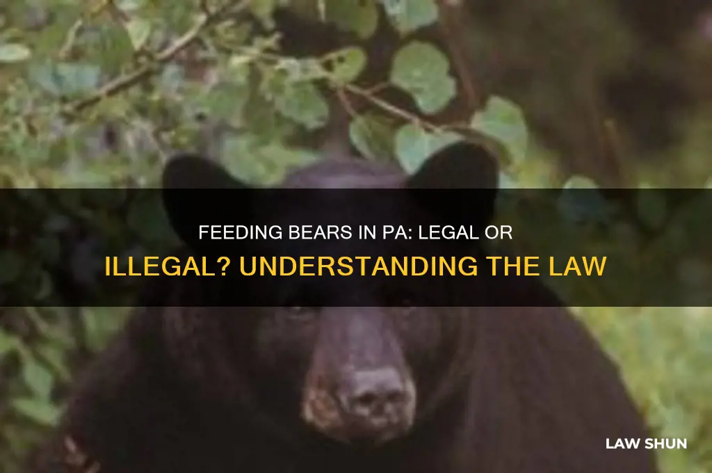 is it against the law to feed bears in pa