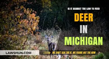 Feeding Deer in Michigan: Legal or Illegal? Understanding the Law