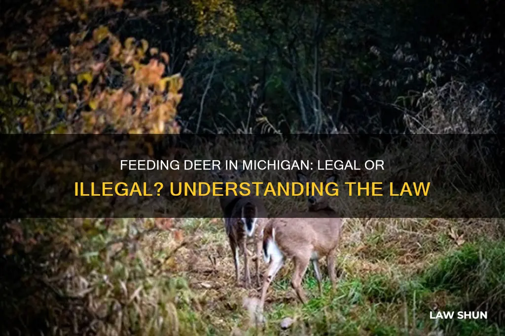 is it against the law to feed deer in michigan