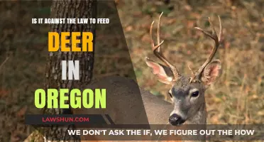 Feeding Deer in Oregon: Legal or Illegal? Understanding the Law