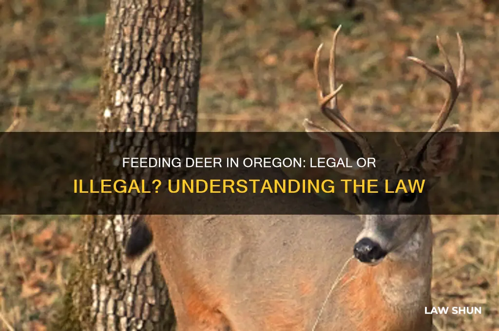 is it against the law to feed deer in oregon