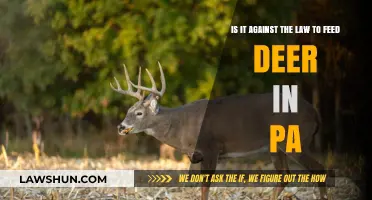 Feeding Deer in Pennsylvania: Legal or Illegal? Understanding PA Wildlife Laws