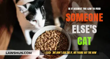 Is Feeding Your Neighbor's Cat Illegal? Legal Insights and Advice