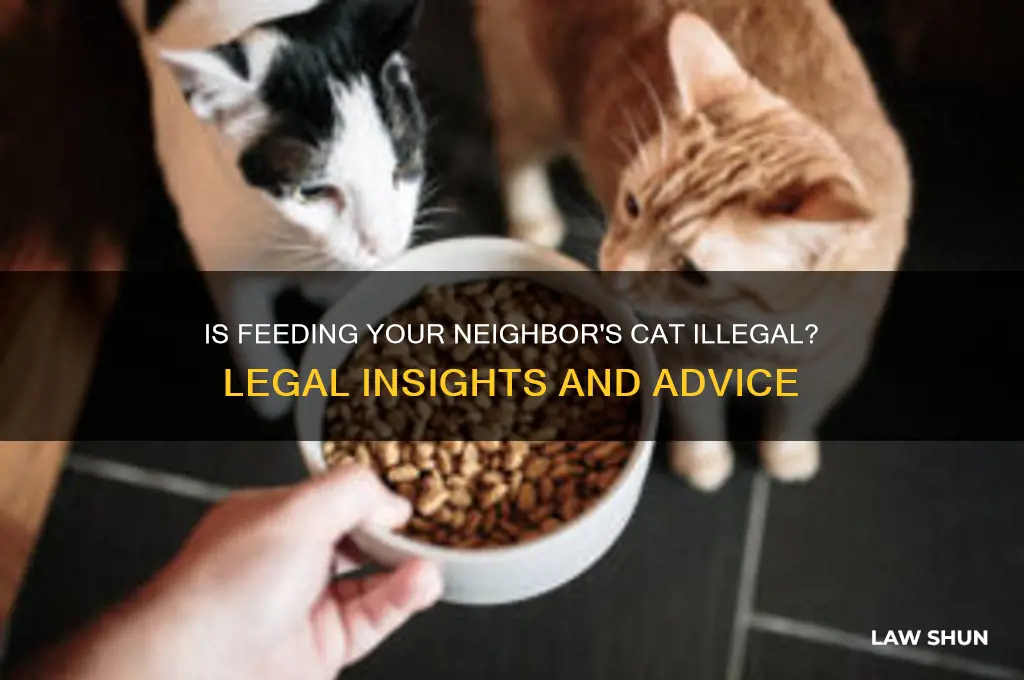 is it against the law to feed someone else