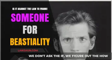 Is Framing Someone for Bestiality Illegal? Legal Insights Explained