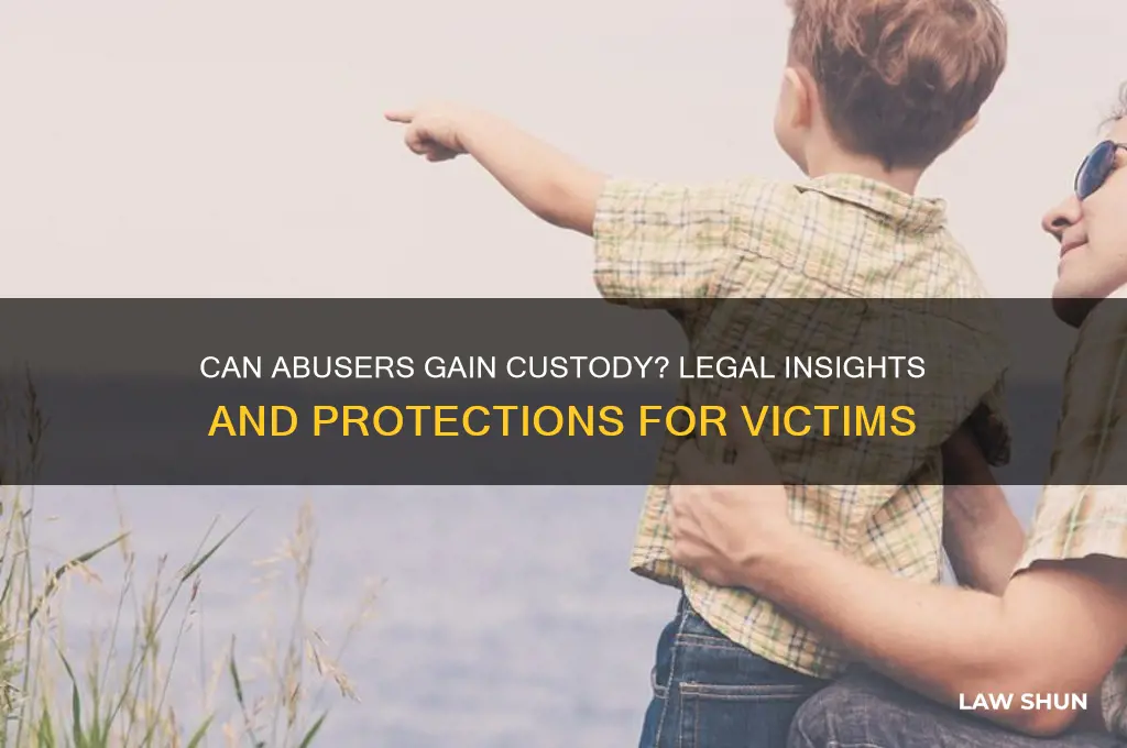 is it against the law to give an abuser custody