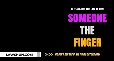 Is Flipping the Bird Illegal? Legal Insights on Giving the Finger