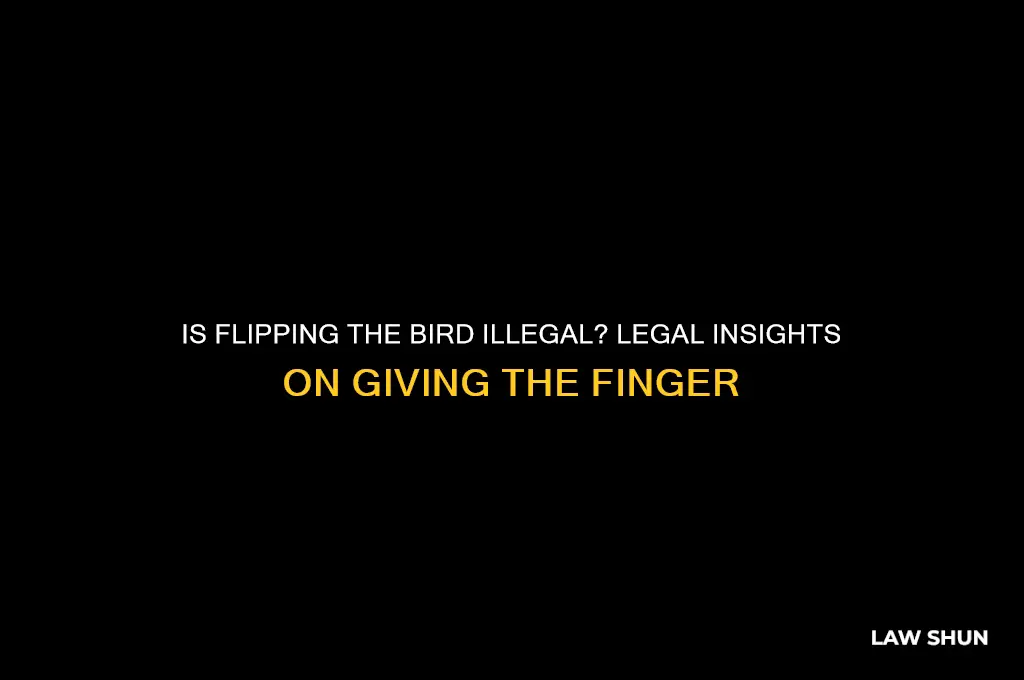 is it against the law to give someone the finger