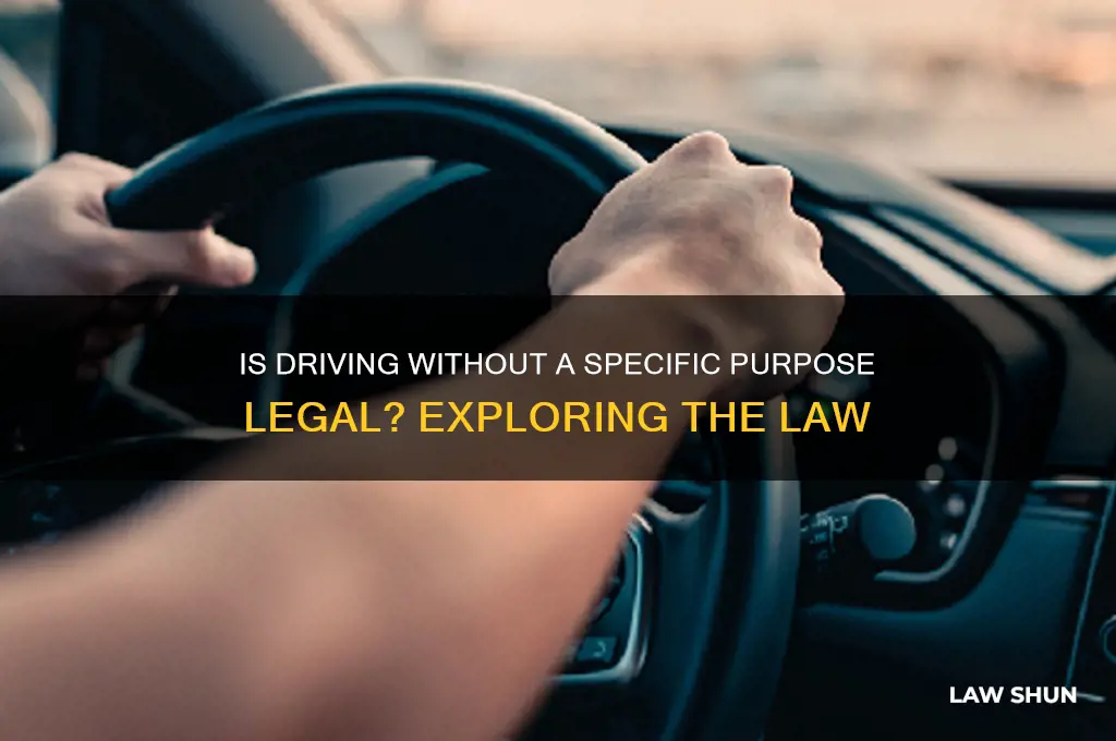 is it against the law to go for a drive