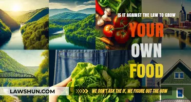Is Growing Your Own Food Legal? Understanding the Laws