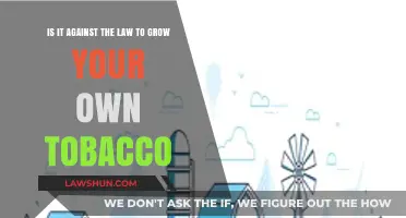 Is Growing Your Own Tobacco Legal? Understanding the Laws