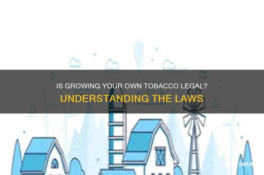 is it against the law to grow your own tobacco
