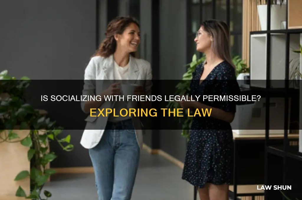 is it against the law to hang out with friends