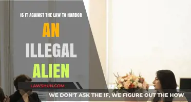 Harboring Undocumented Immigrants: Legal Consequences and Ethical Dilemmas Explored