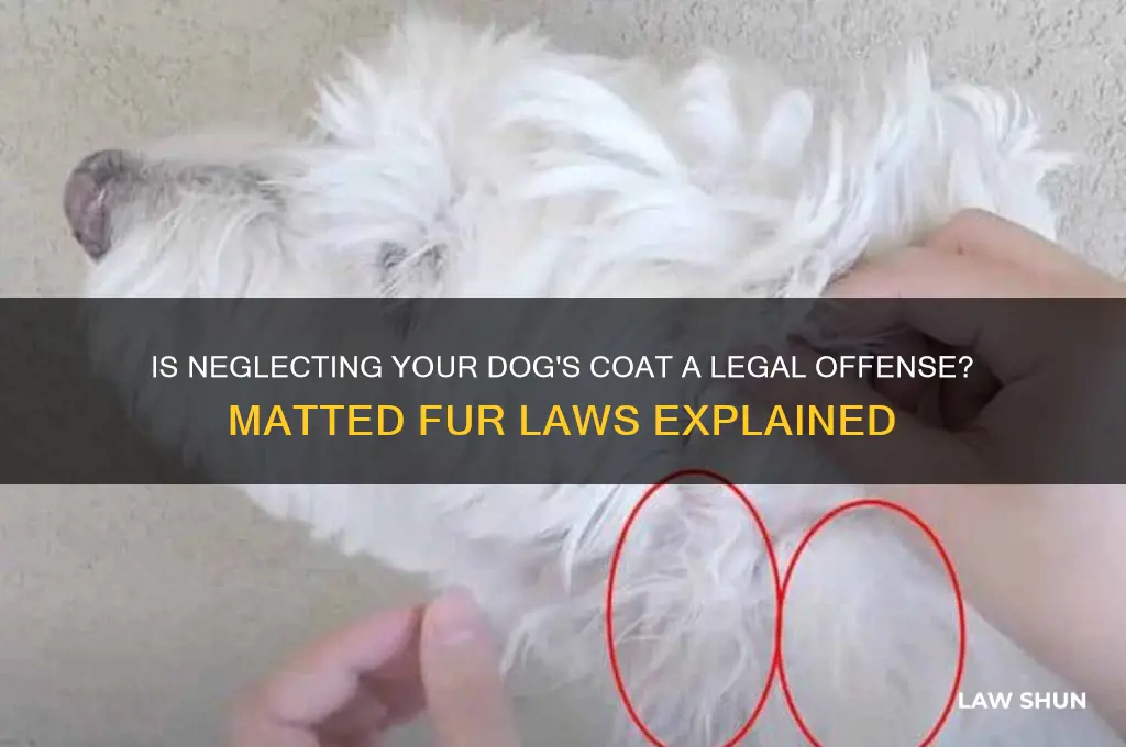 is it against the law to have a matted dog