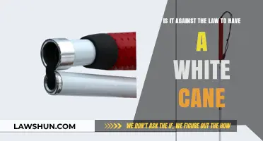 White Cane Laws: Your Legal Rights Explained