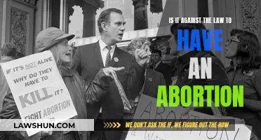 Abortion Legality: Understanding the Complexities of the Law